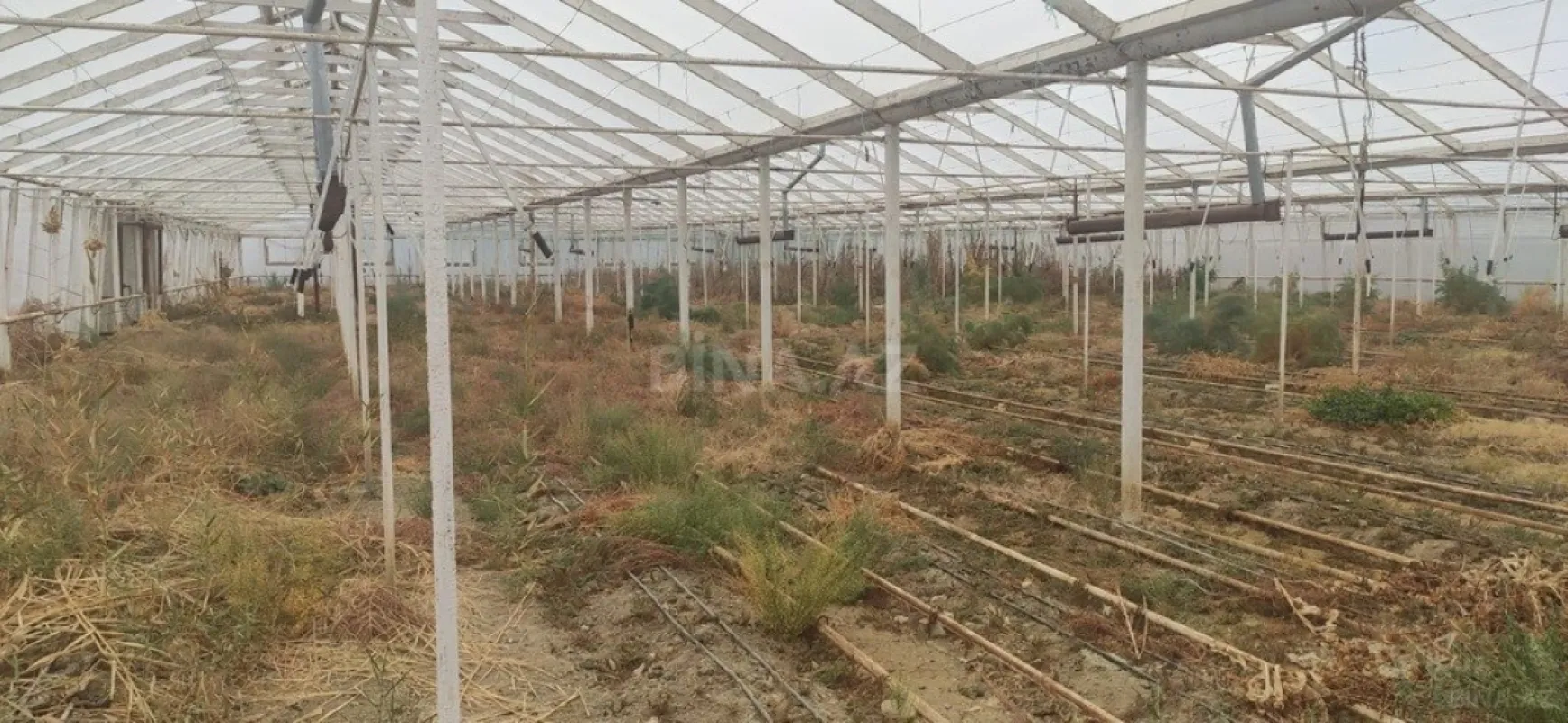 Satılır obyekt 200 m²