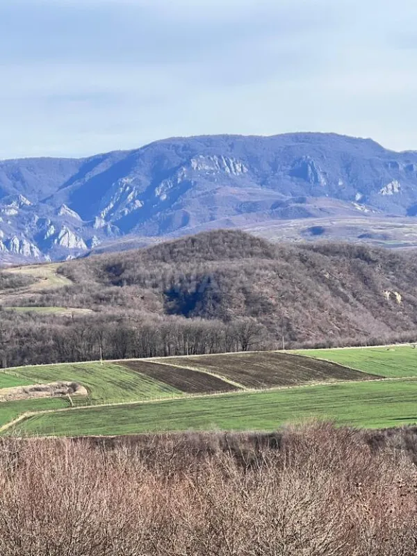 Satılır torpaq sahəsi 142 m²