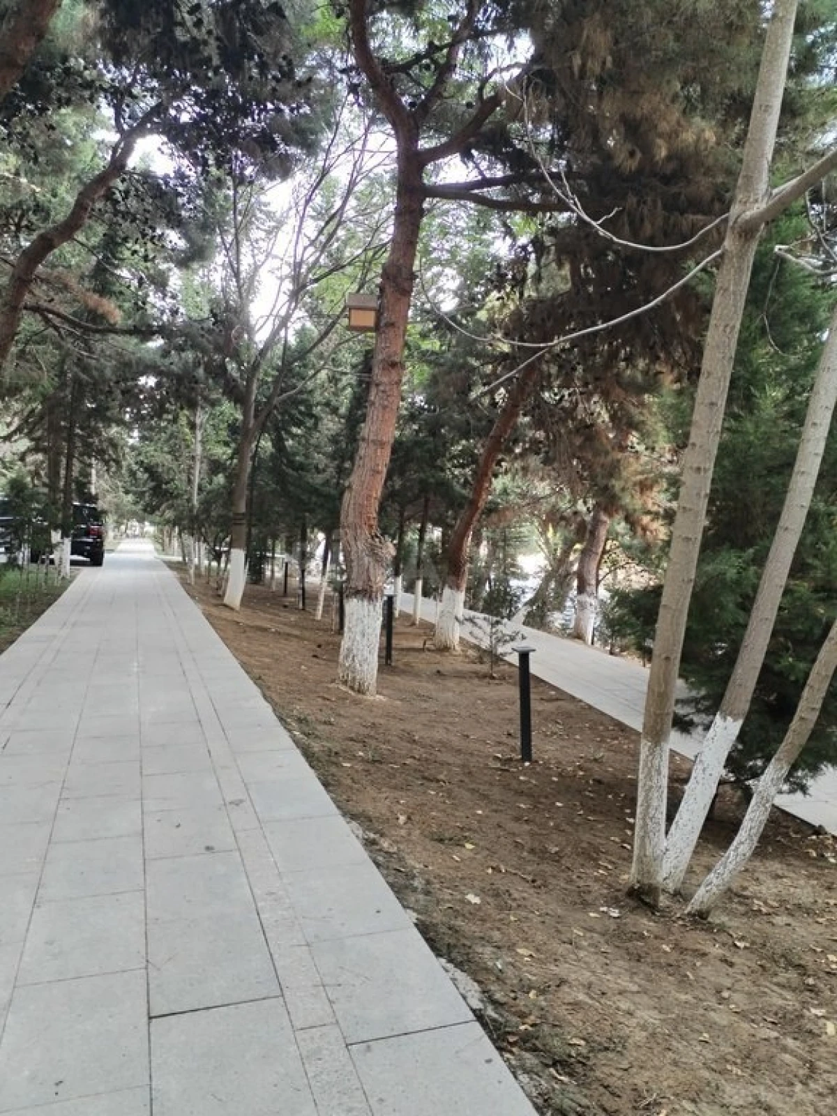 Satılır 3 otaqlı mənzil 90 m²