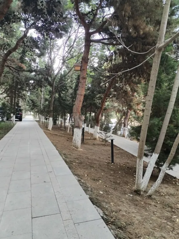 Satılır 3 otaqlı mənzil 90 m²