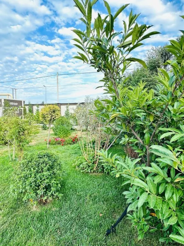 Kirayə verilir 4 otaqlı həyət evi 360 m²