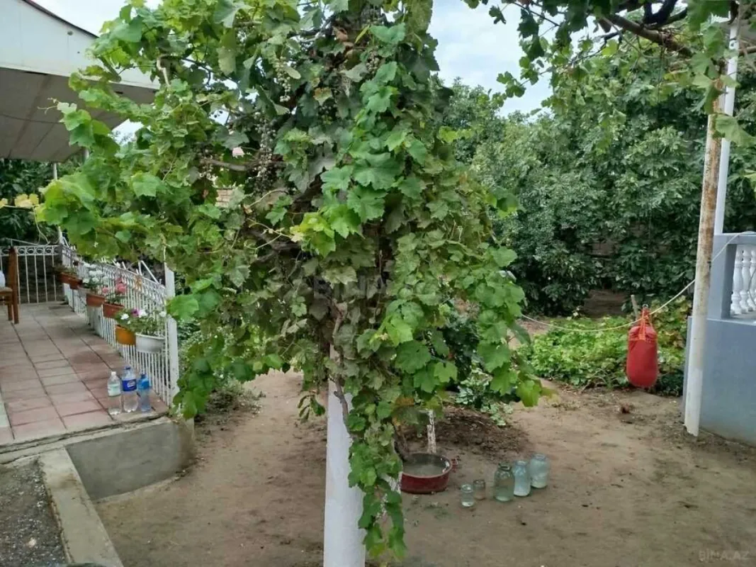 Satılır 2 otaqlı həyət evi 80 m²