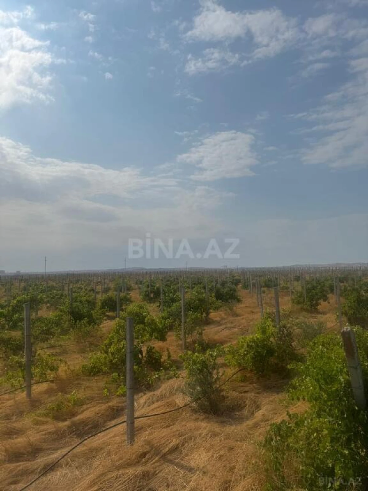 Satılır torpaq sahəsi 700 m²