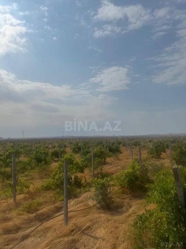 Satılır torpaq sahəsi 700 m²