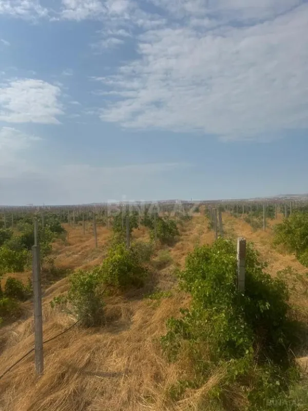 Satılır torpaq sahəsi 700 m²