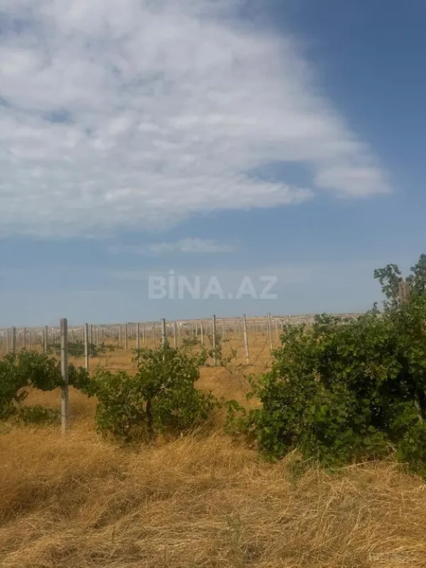 Satılır torpaq sahəsi 700 m²