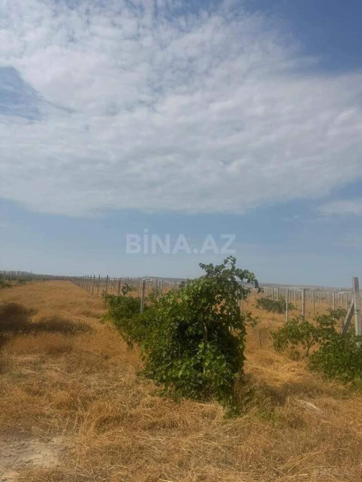 Satılır torpaq sahəsi 700 m²