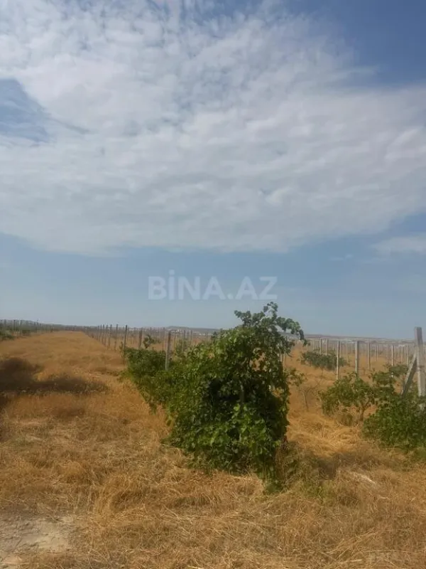 Satılır torpaq sahəsi 700 m²