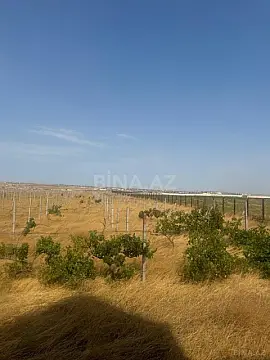 Satılır torpaq sahəsi 700 m² — Bakı, Abşeron 700.00 m²