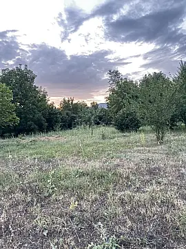 Satılır torpaq sahəsi 10 m² — Qəbələ 10.00 m²