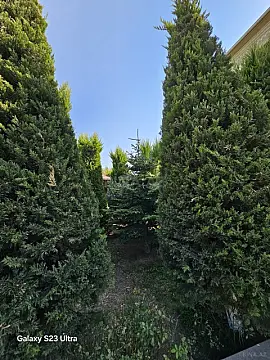 Satılır 8 otaqlı həyət evi 300 m²