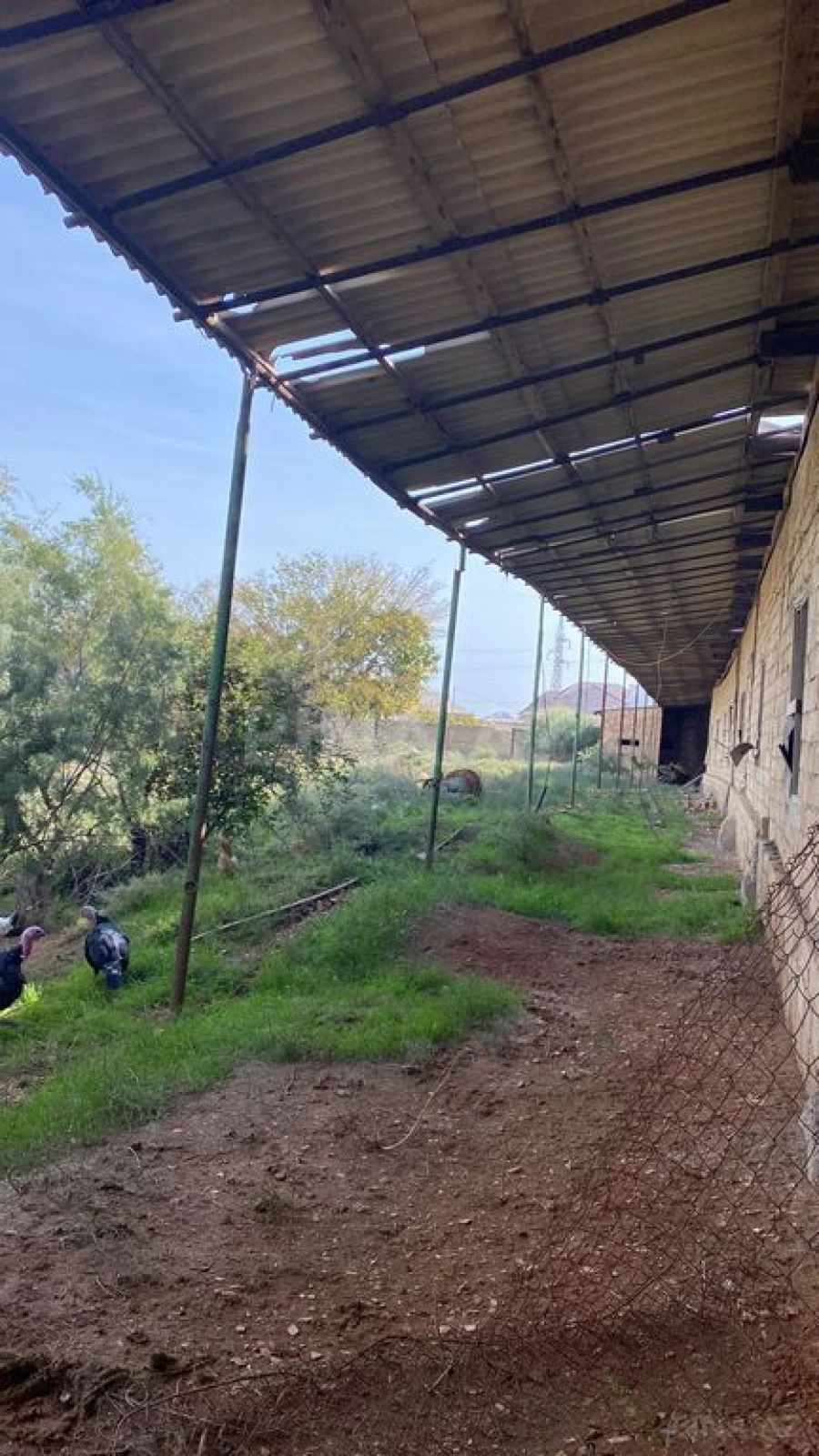 Satılır torpaq sahəsi 2000 m²