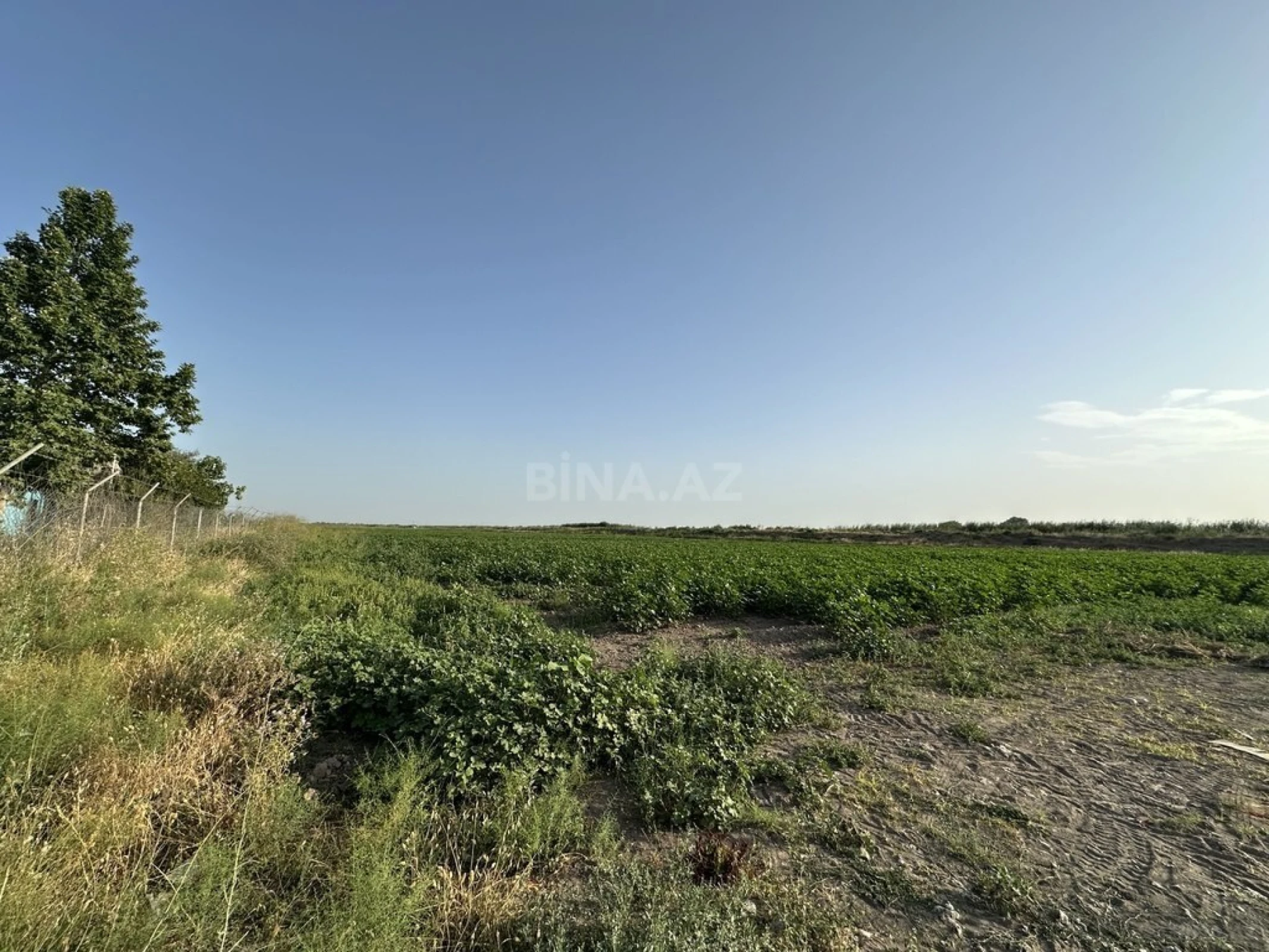 Satılır torpaq sahəsi 7000 m²