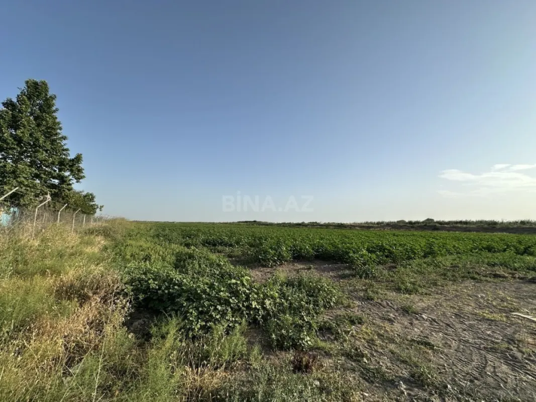 Satılır torpaq sahəsi 7000 m²