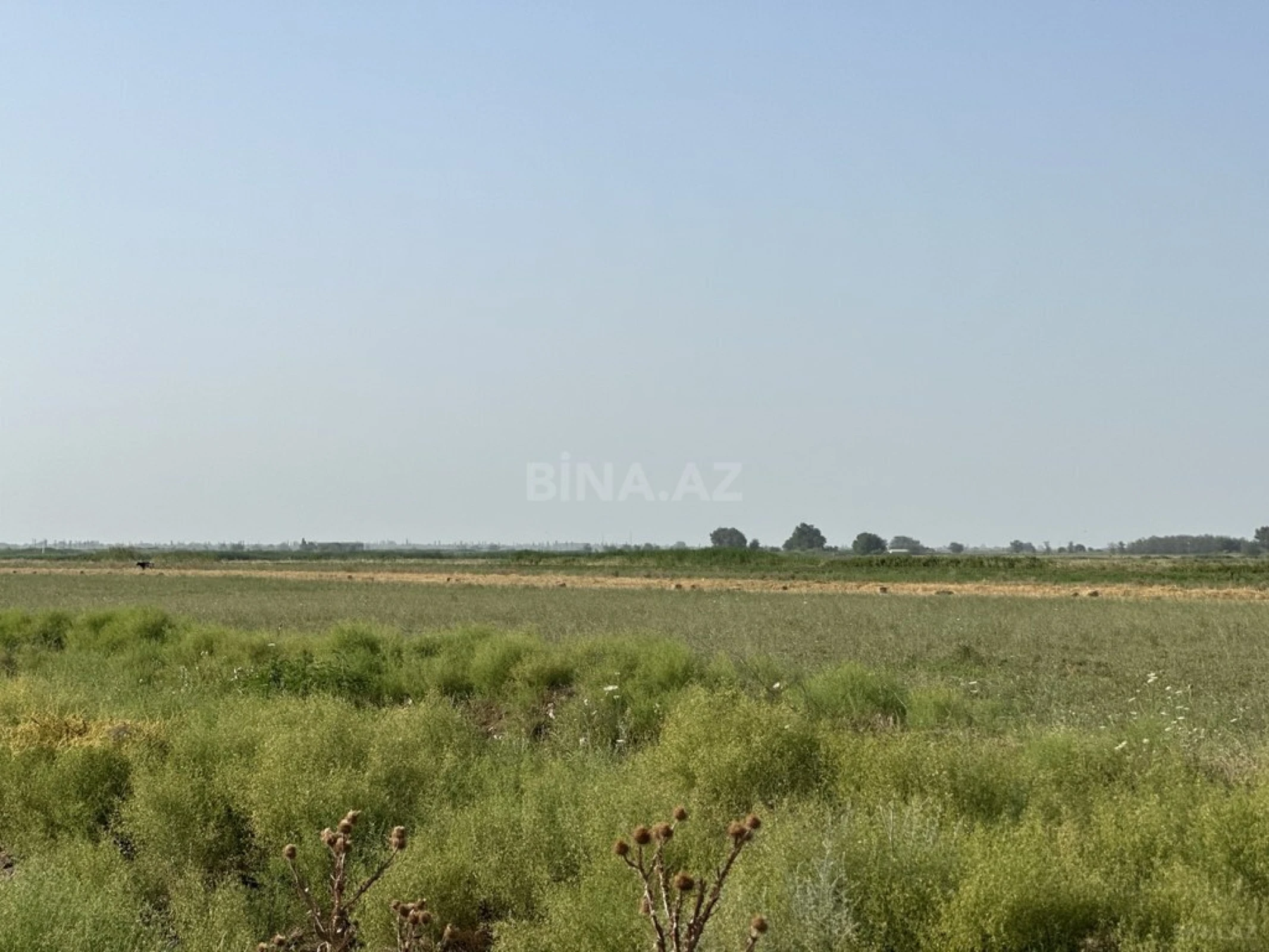 Satılır torpaq sahəsi 7000 m²