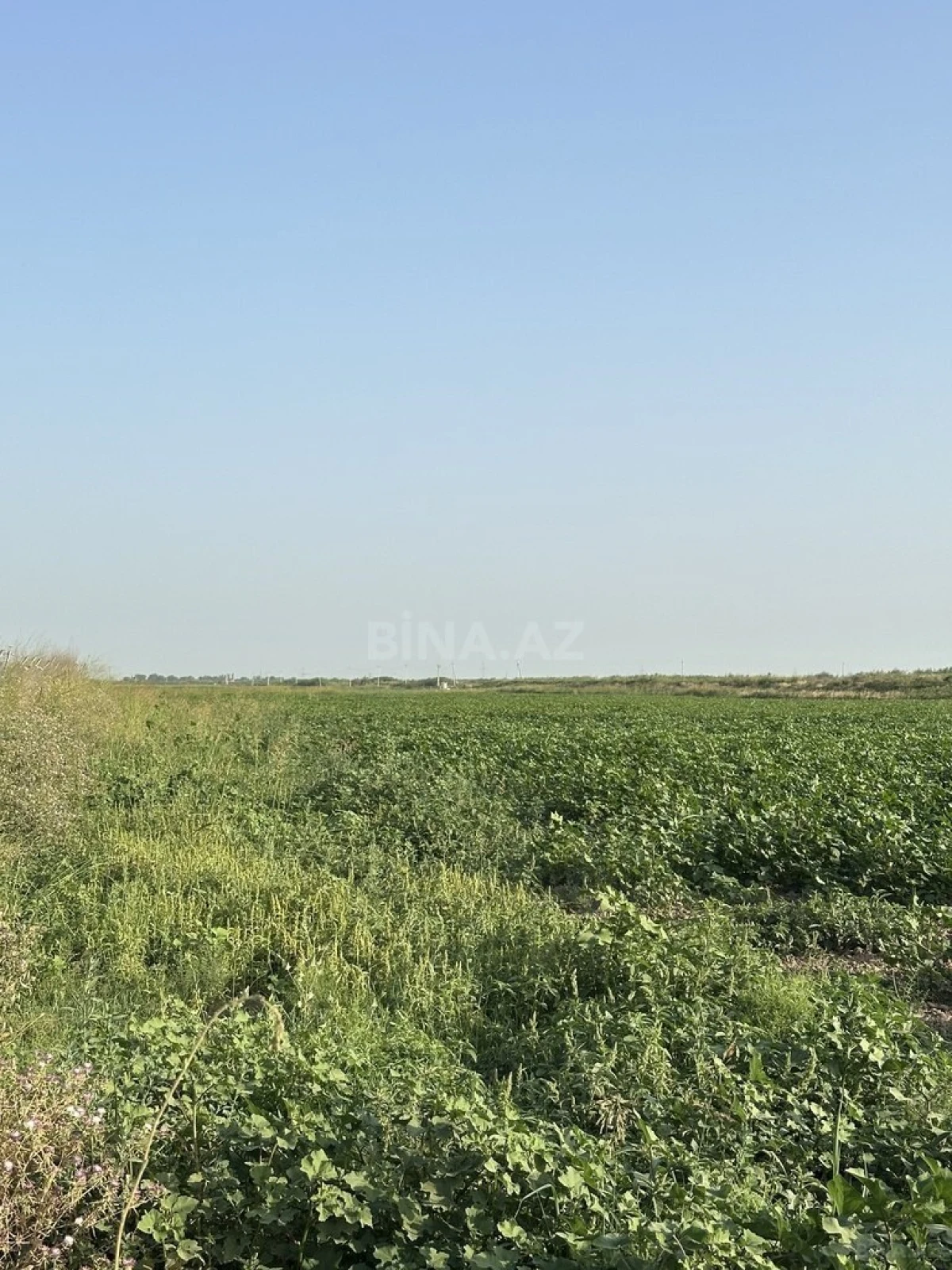 Satılır torpaq sahəsi 7000 m²