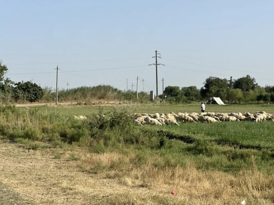 Satılır torpaq sahəsi 7000 m²