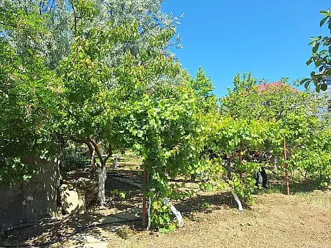 Satılır 6 otaqlı həyət evi 400 m²