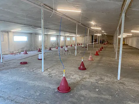 Satılır obyekt 240 m²