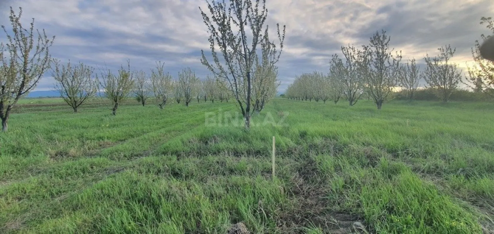 Satılır torpaq sahəsi 235 m²