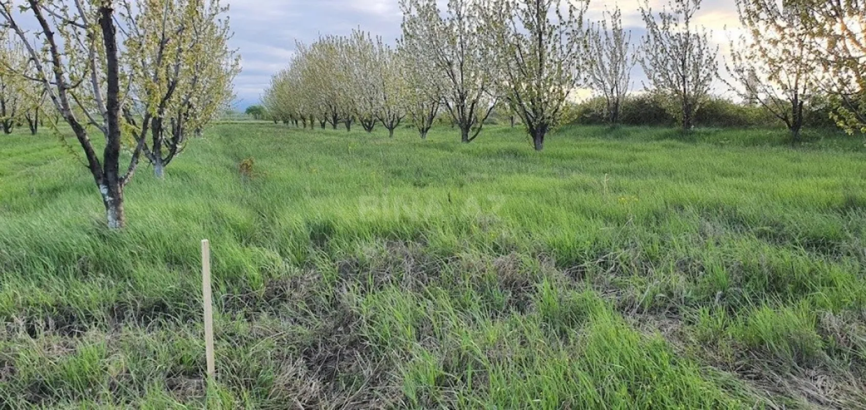 Satılır torpaq sahəsi 235 m²