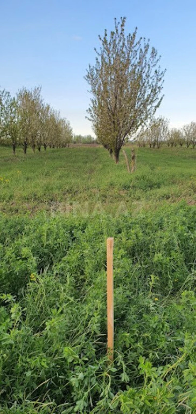 Satılır torpaq sahəsi 235 m²