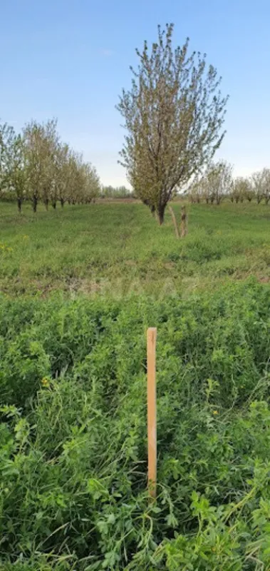 Satılır torpaq sahəsi 235 m²