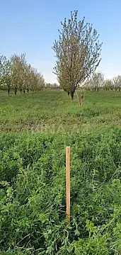 Satılır torpaq sahəsi 235 m²