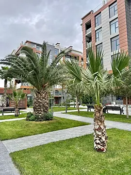 Satılır 2 otaqlı mənzil 45.3 m²