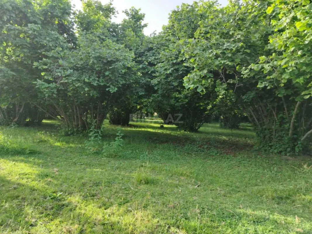 Satılır 4 otaqlı həyət evi 110.2 m²