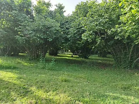 Satılır 4 otaqlı həyət evi 110.2 m²