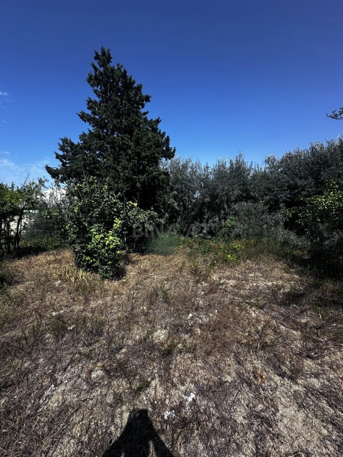 Satılır torpaq sahəsi 3 m²