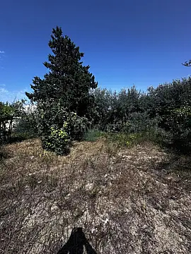 Satılır torpaq sahəsi 3 m²