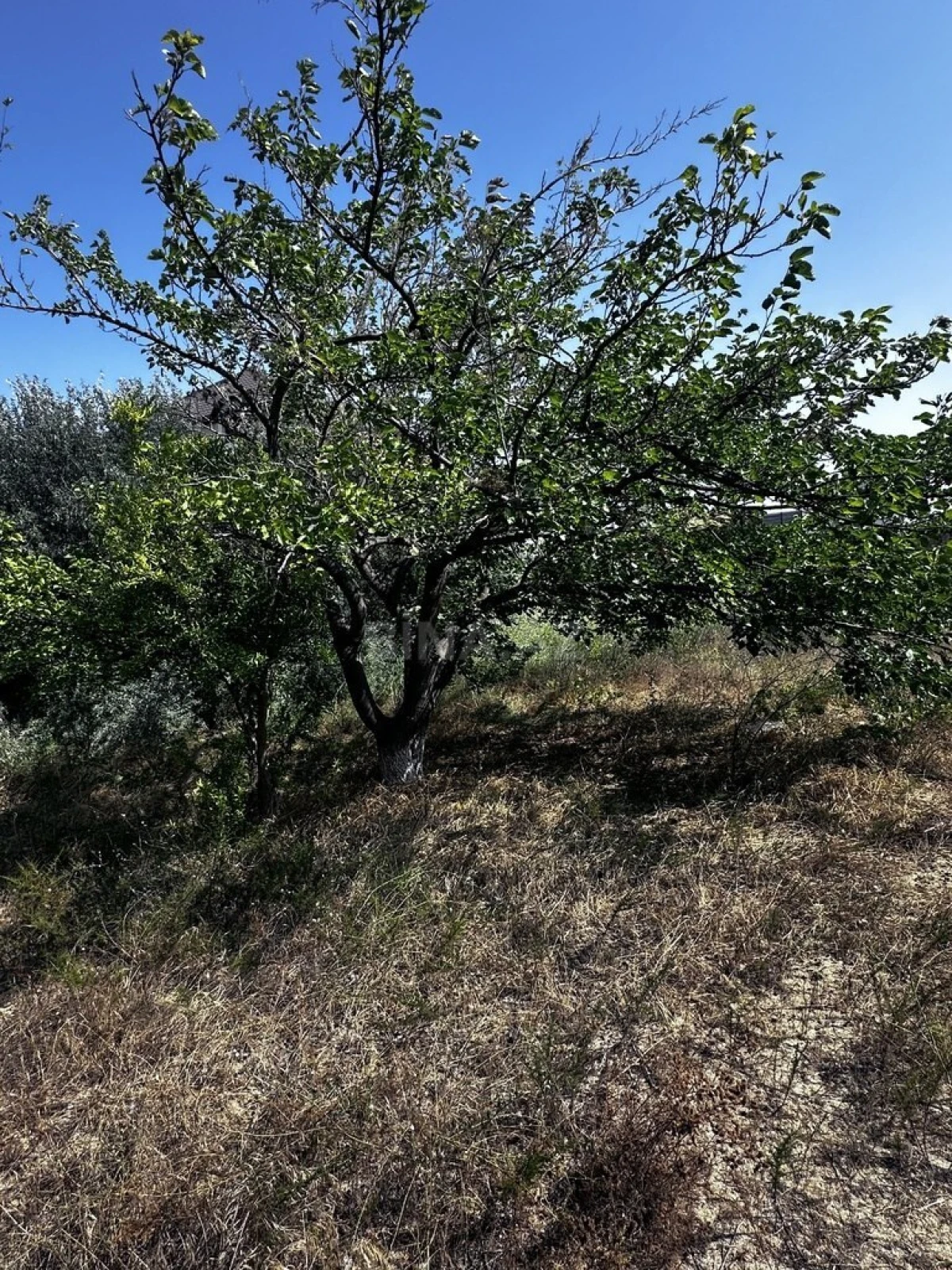 Satılır torpaq sahəsi 3 m²