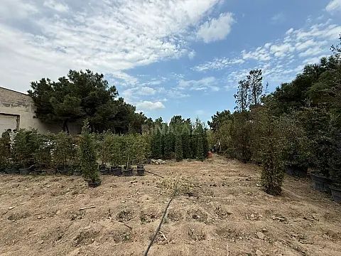 Satılır torpaq sahəsi 15.3 m²