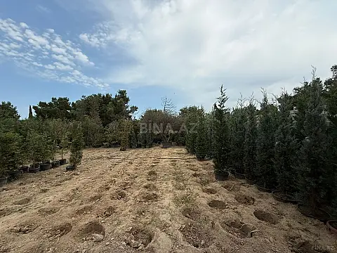 Satılır torpaq sahəsi 15.3 m² — Bakı, Buzovna 15.30 m²