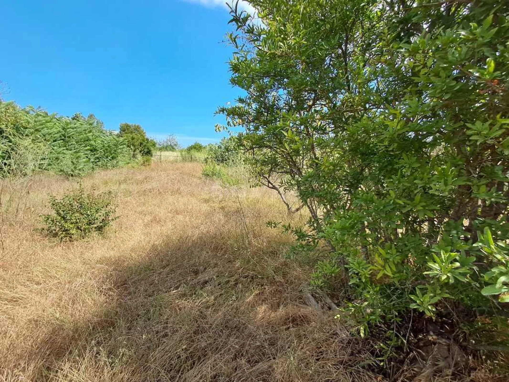 Satılır torpaq sahəsi 12.6 m²