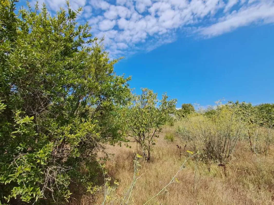 Satılır torpaq sahəsi 12.6 m²