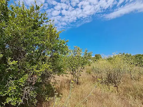 Satılır torpaq sahəsi 12.6 m²