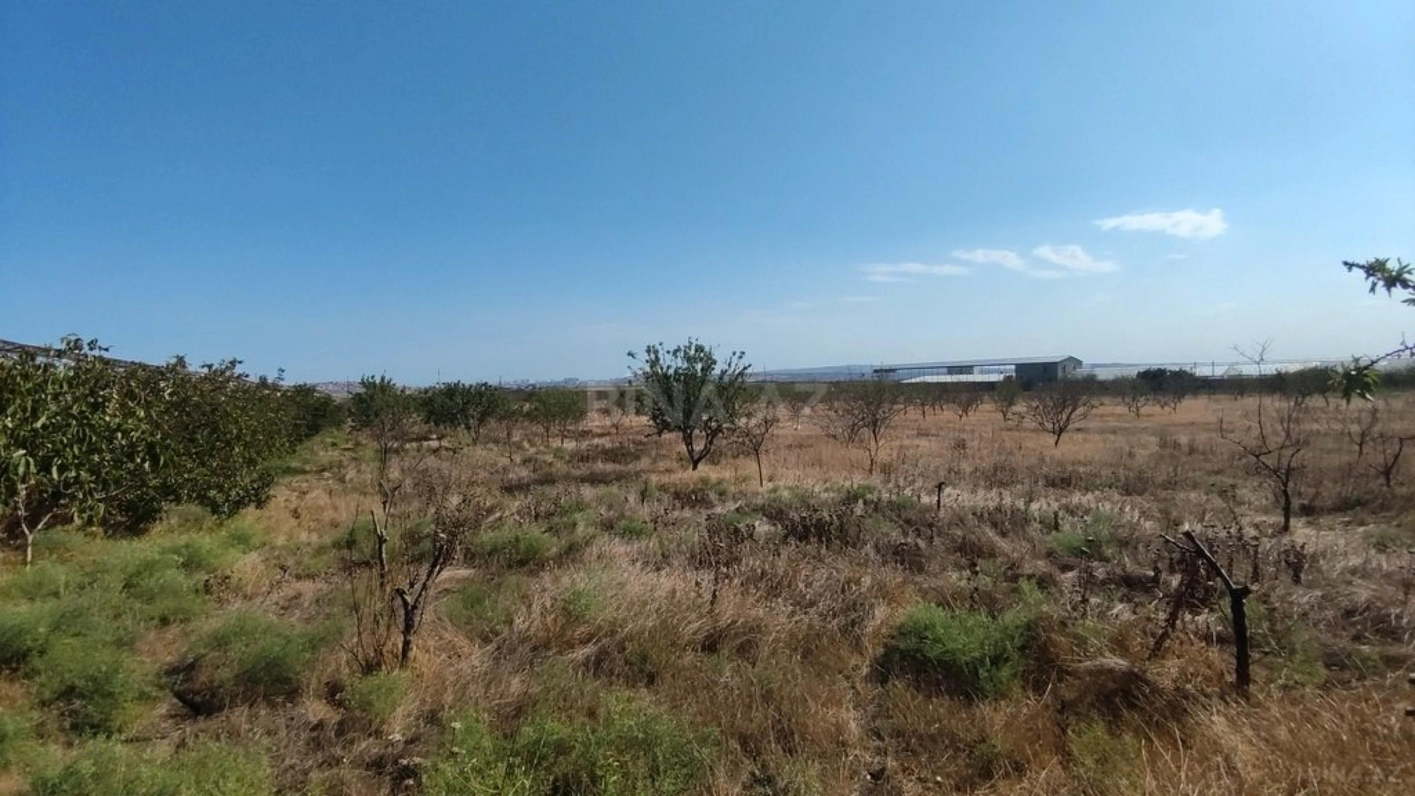 Satılır obyekt 40000 m²