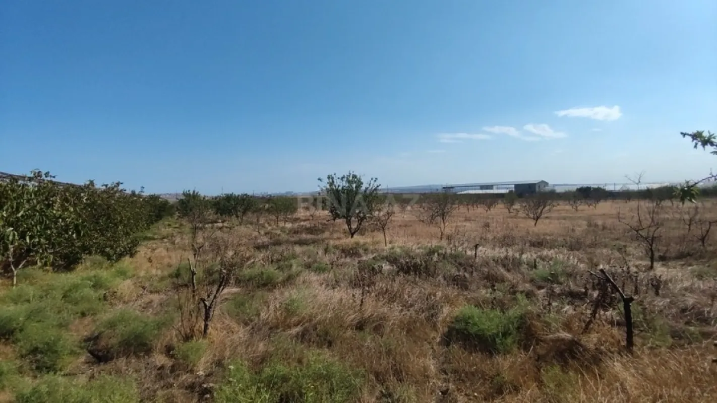 Satılır obyekt 40000 m²