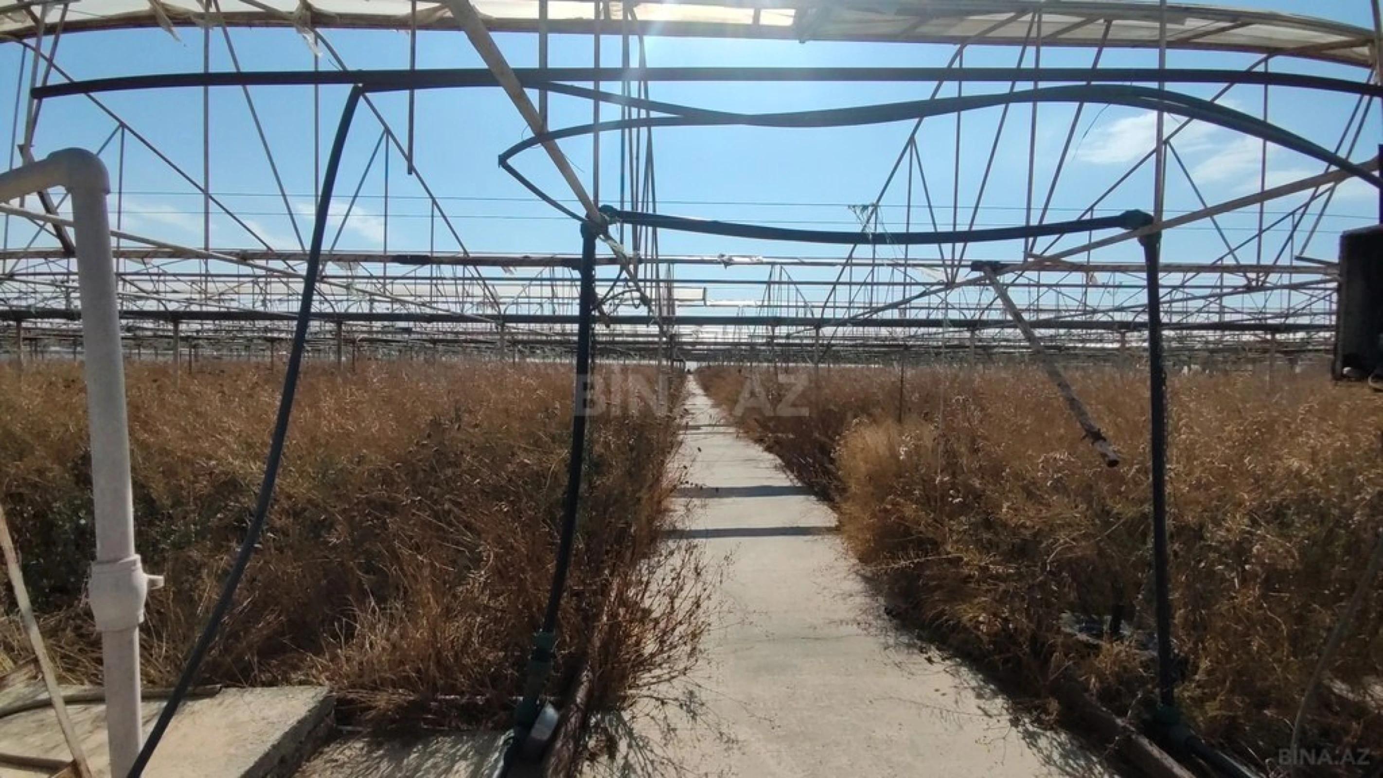 Satılır obyekt 40000 m²