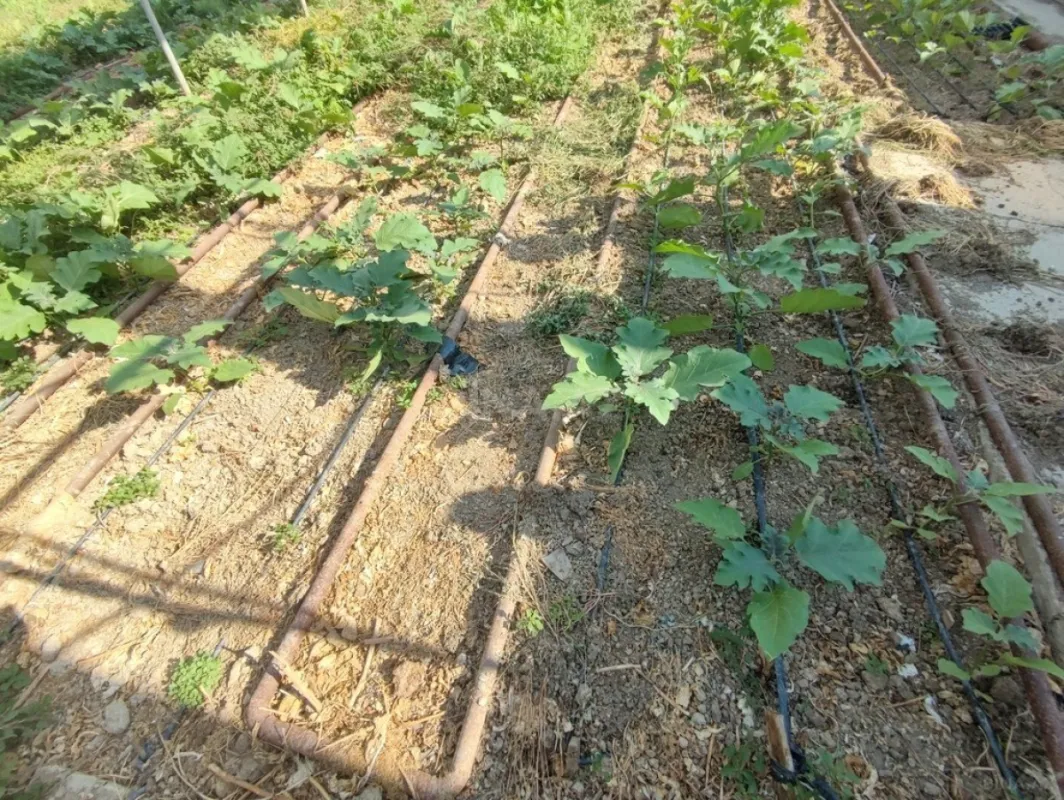 Satılır obyekt 40000 m²