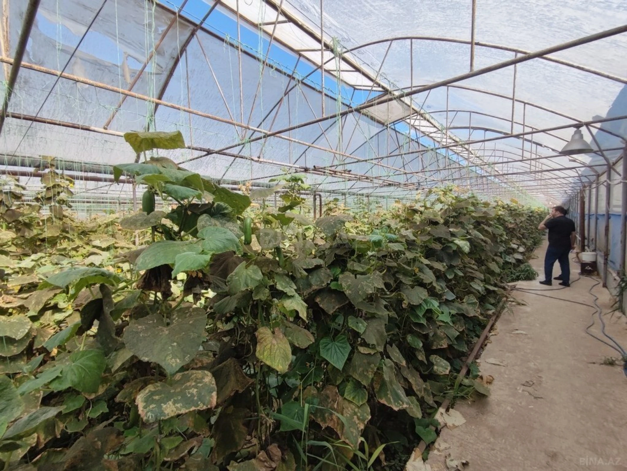 Satılır obyekt 40000 m²