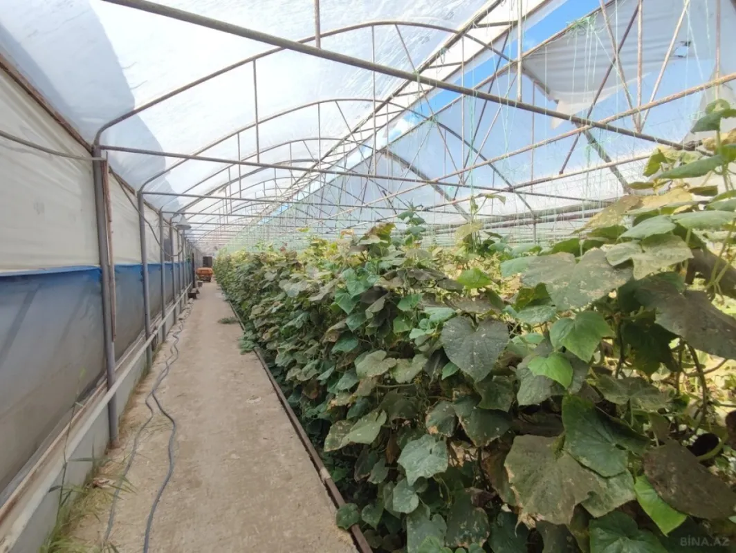 Satılır obyekt 40000 m²