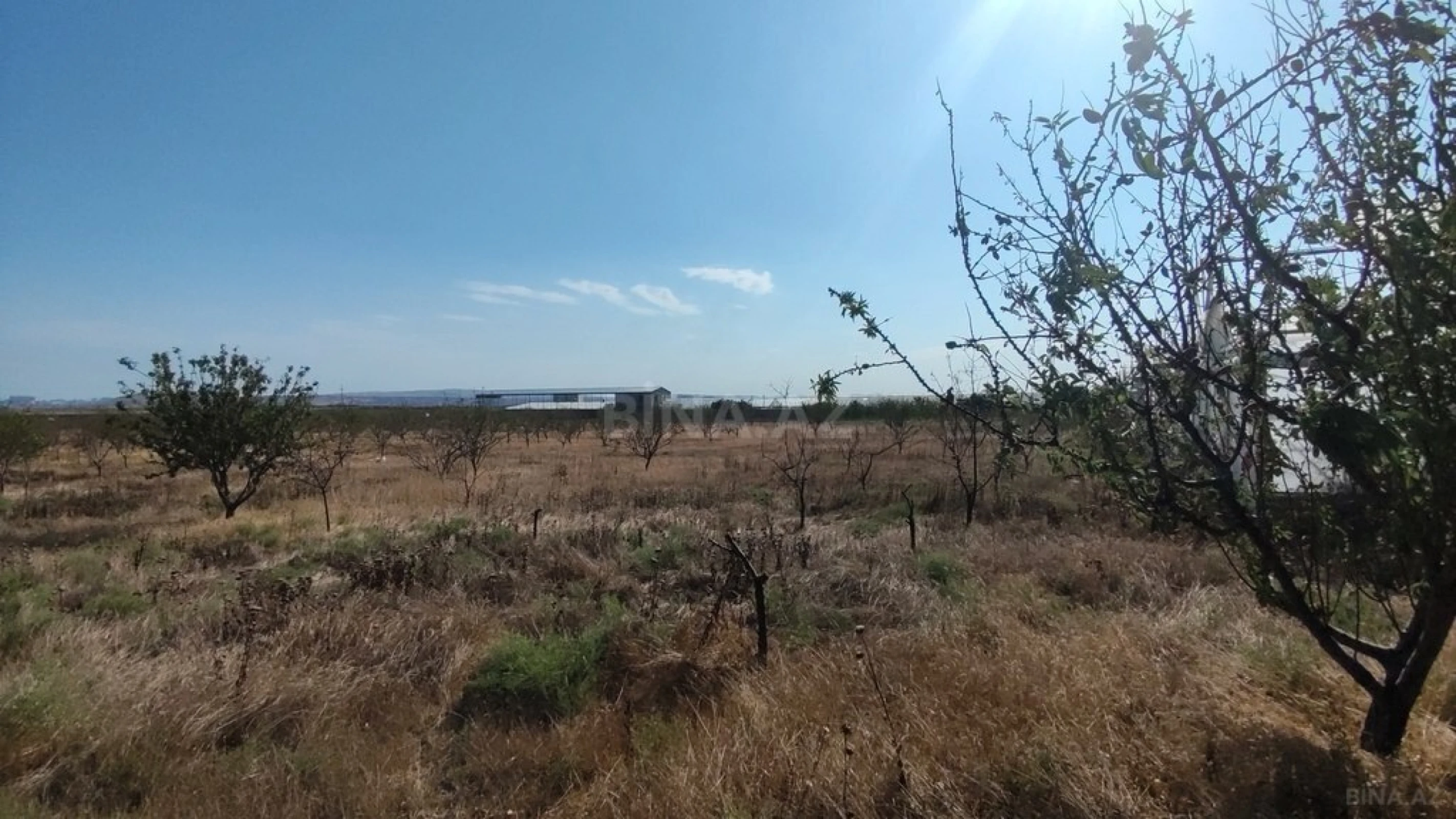 Satılır obyekt 40000 m²