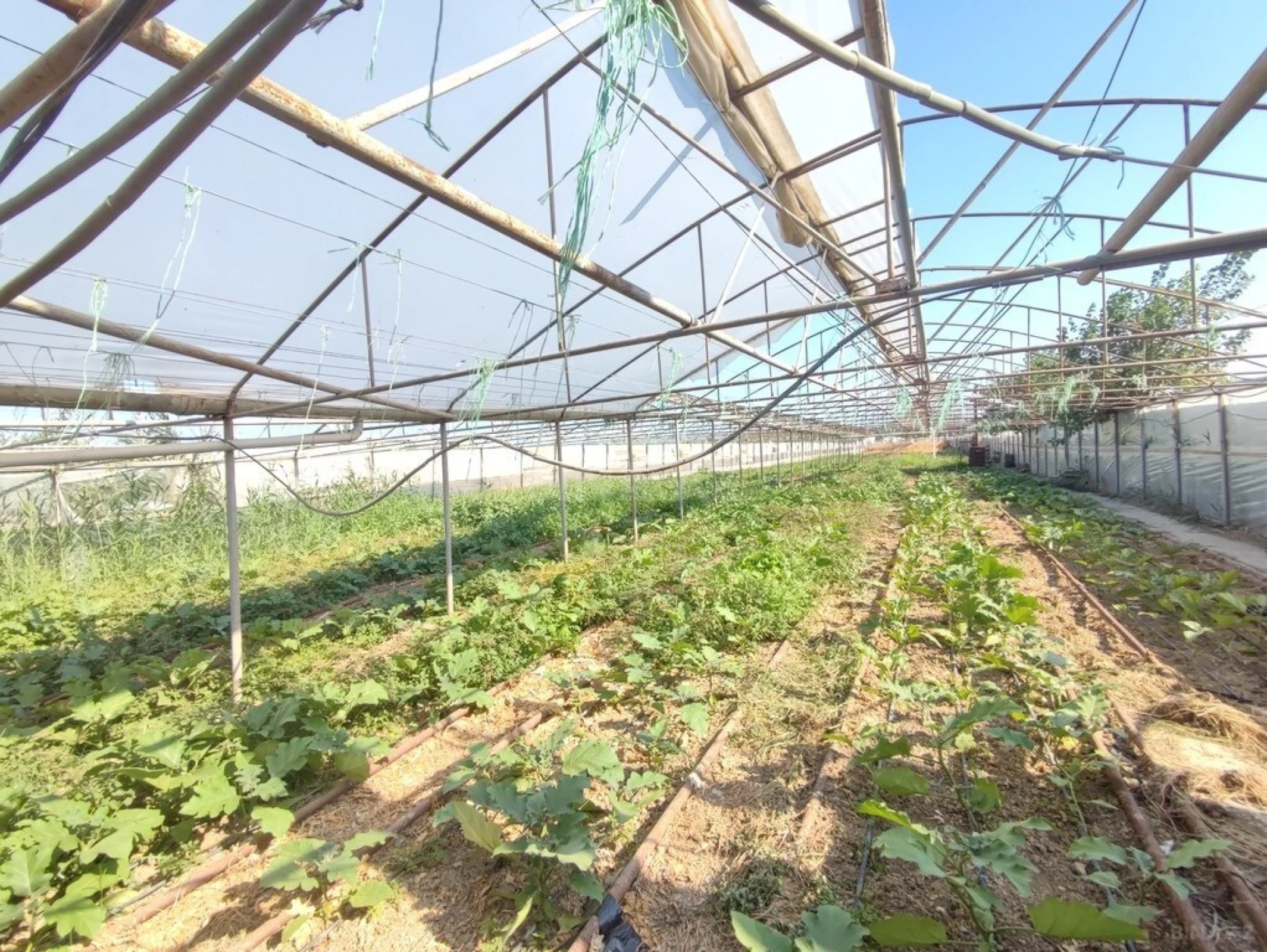 Satılır obyekt 40000 m²