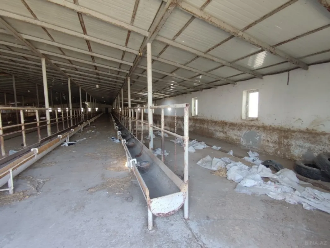 Satılır obyekt 40000 m²