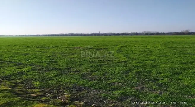 Satılır torpaq sahəsi 1300 m² — Xaçmaz 1300.00 m²