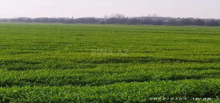 Satılır torpaq sahəsi 1300 m²